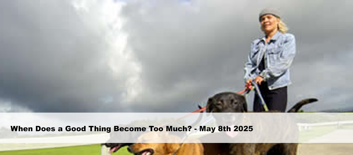 When Does a Good Thing Become Too Much?