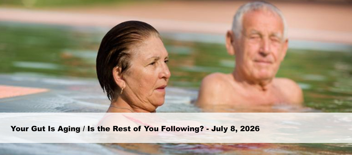 Your Gut Is Aging / Is the Rest of You Following?